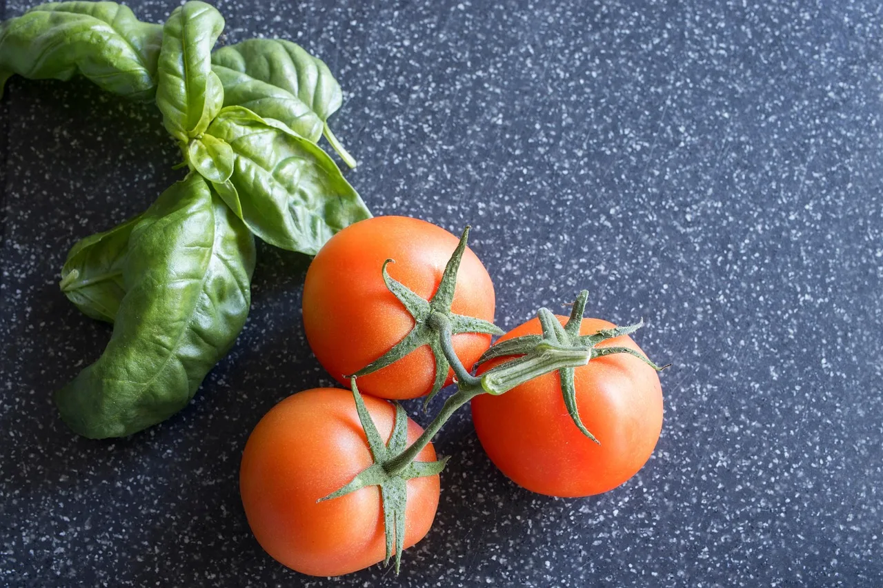 ingredients, kitchen, healthy, basil, tomatoes, herb, fruit, flatlay, food, nutrition, culinary, gourmet, vegan, vegetarian, combination, duo, italian, vine-ripened, aromatic, food prep, bolognese. Austin meal prep business operations: cottage food limits