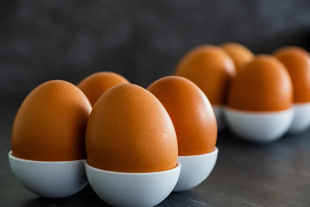 egg, food, meal, healthy, breakfast egg, hen's egg, nourishment, cook, eggs container, egg, egg, egg, egg, egg. Meal prep local SEO checklist: rank in local search