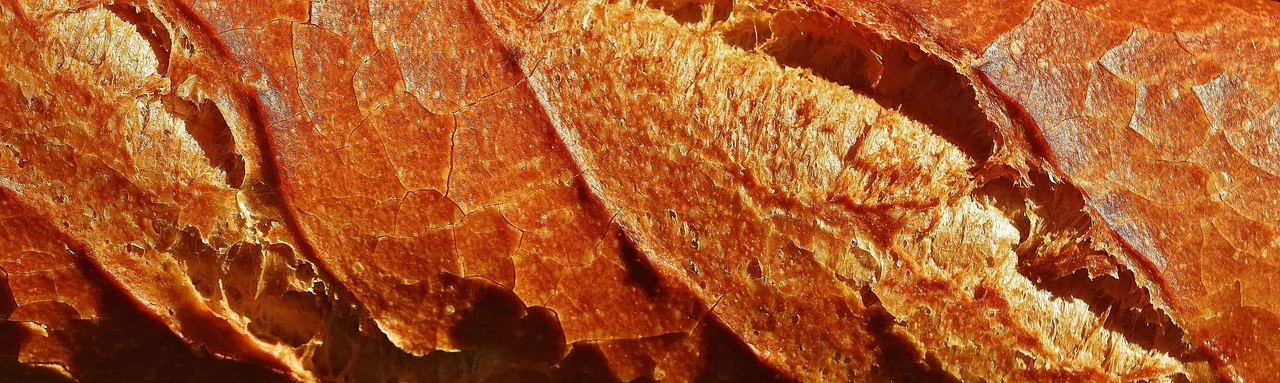 baguette, loaf, baked goods, food, meal, yummy, fresh, white bread, baked, bakery, baguette, baguette, bakery, bakery, bakery, bakery, bakery. Meal prep KPIs owners should track monthly