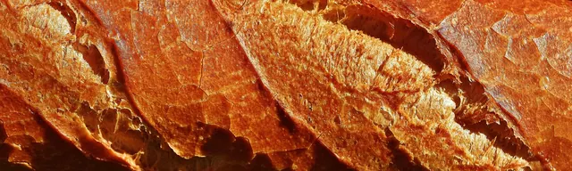baguette, loaf, baked goods, food, meal, yummy, fresh, white bread, baked, bakery, baguette, baguette, bakery, bakery, bakery, bakery, bakery. Meal prep KPIs owners should track monthly