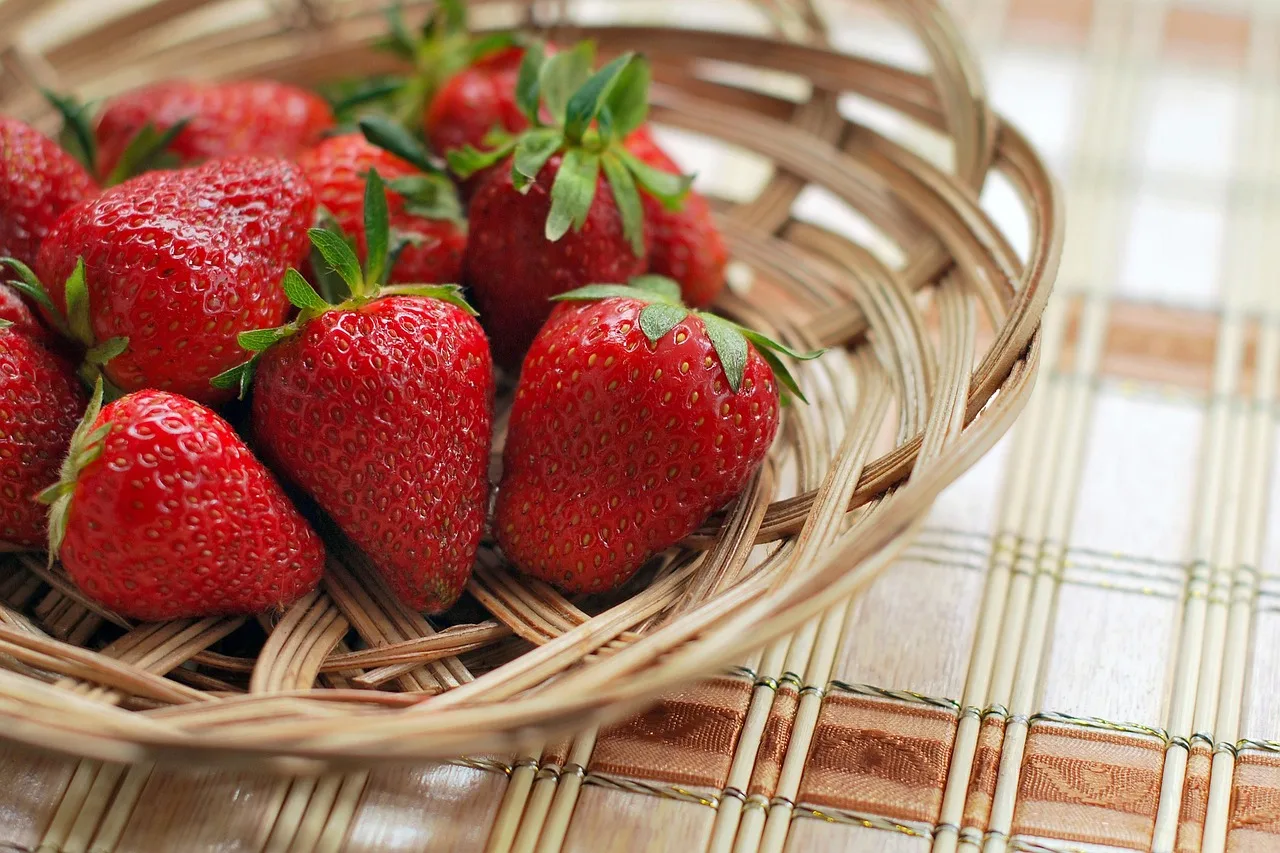 strawberry, fruit, basket, berry, food, red fruit, natural, organic, produce, juicy, ripe, sweet, tasty, strawberry, strawberry, strawberry, strawberry, strawberry. 3 points worth checking on meal prep marketing