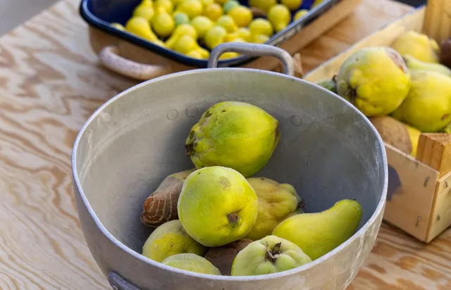 quince, fruit, yellow, tree, nature, harvested, collected, read on, container, key, wooden box, food, meal, quince, quince, quince, quince, quince. Meal prep stock control: specifications, portions and waste