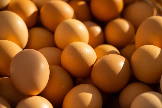egg, chicken, livestock, poultry, food, healthy, market, diet, vitamin, fresh, raw, nutrition, nature, protein. Meal prep trends: what USDA forecasts for protein prices